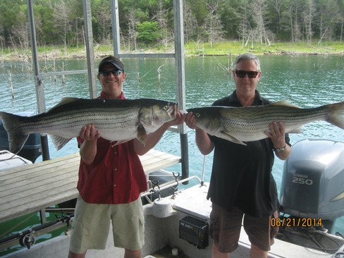 Nice Striped Bass